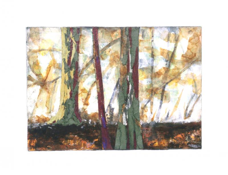 Un coin de forêt